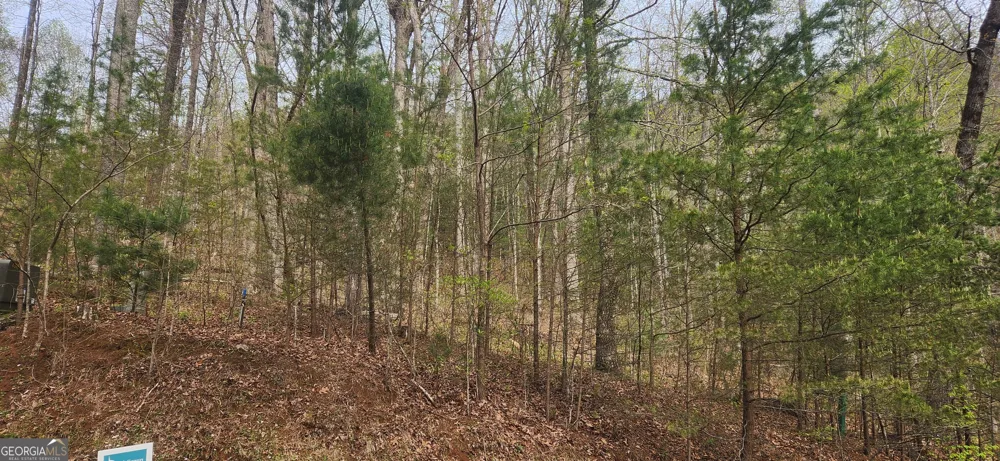 0 (LOT 13) Yellow Trillium Clayton, GA 30525