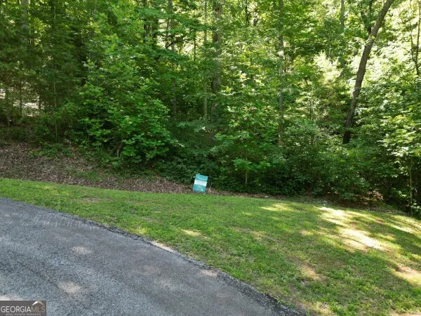 0 (LOT 13) Yellow Trillium Clayton, GA 30525
