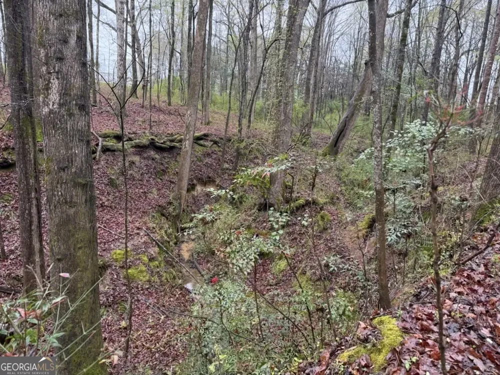 1791 McRess Gin RD Watkinsville, GA 30677