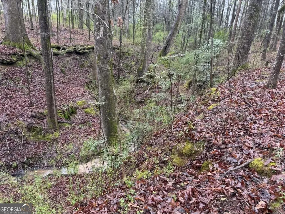 1791 McRess Gin RD Watkinsville, GA 30677