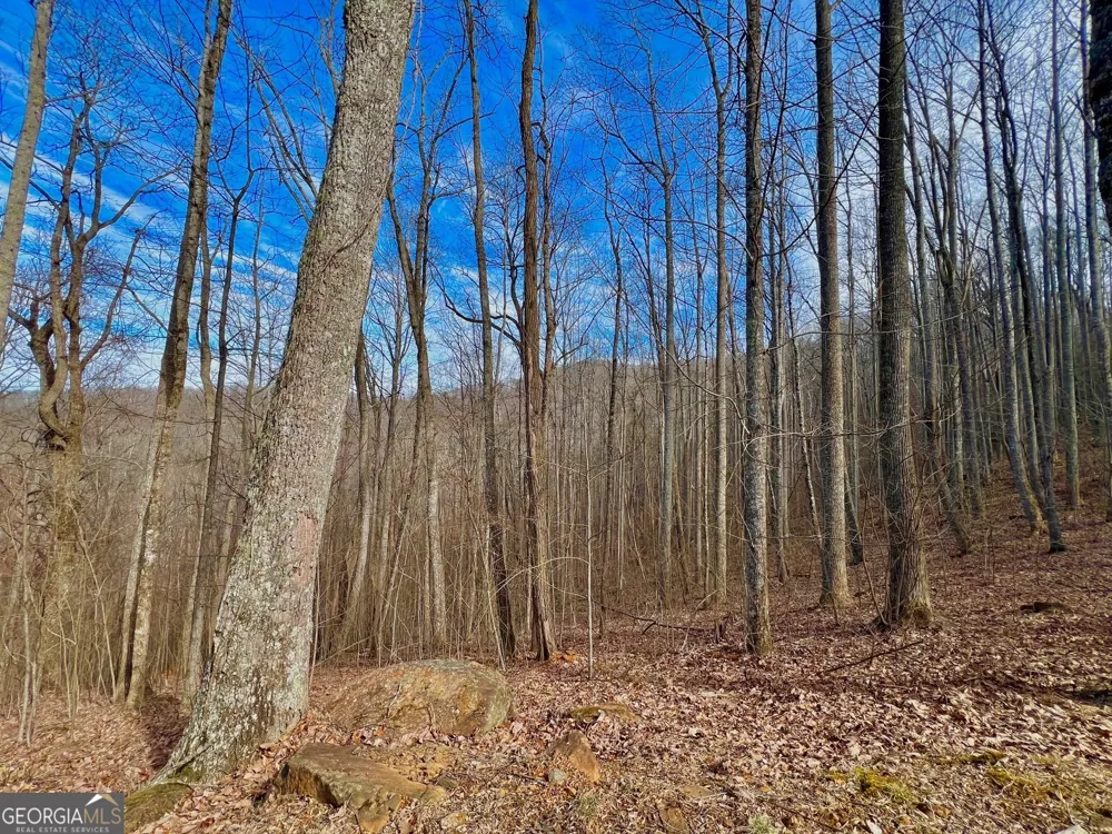 57 Rim Rock Young Harris, GA 30582