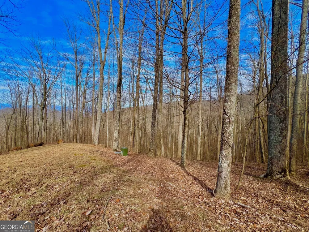 57 Rim Rock Young Harris, GA 30582