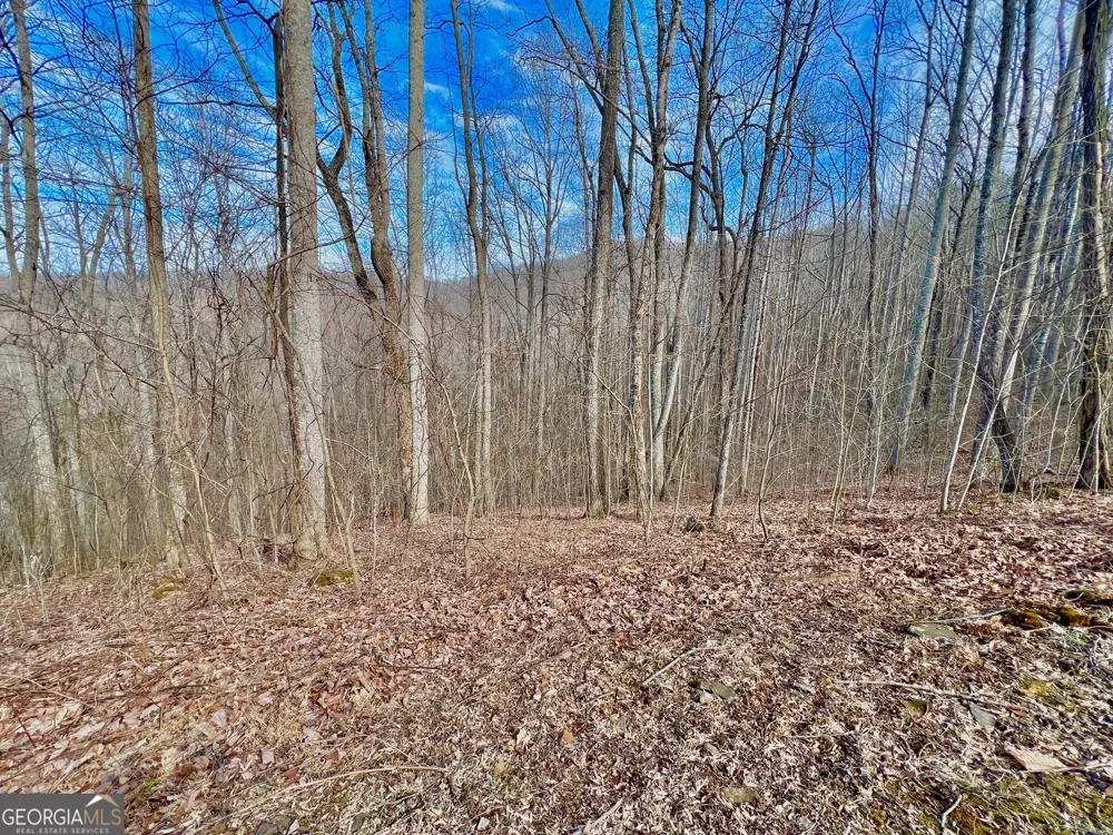 57 Rim Rock Young Harris, GA 30582