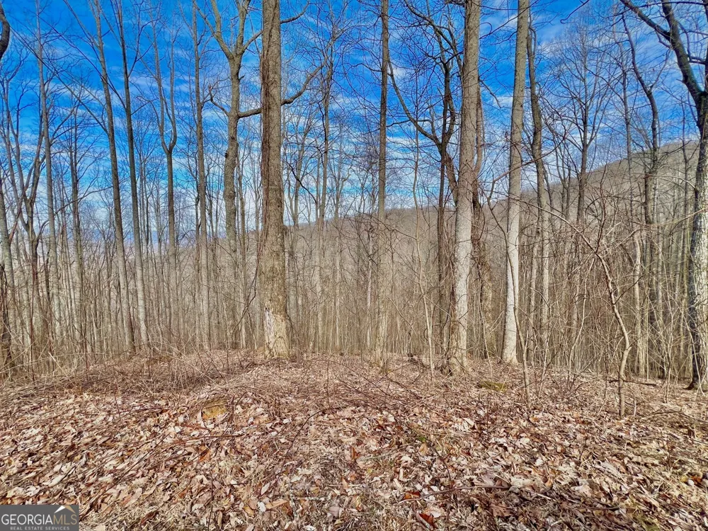 57 Rim Rock Young Harris, GA 30582