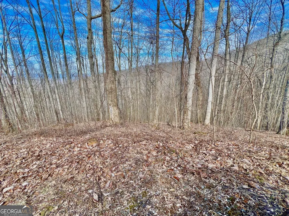 57 Rim Rock Young Harris, GA 30582