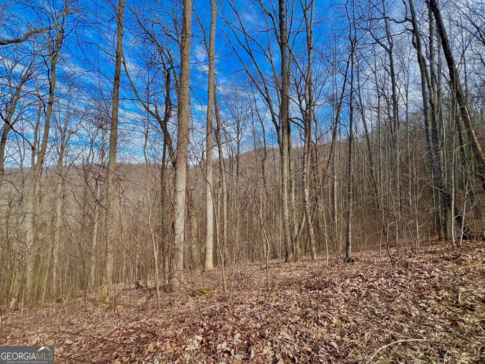 57 Rim Rock Young Harris, GA 30582