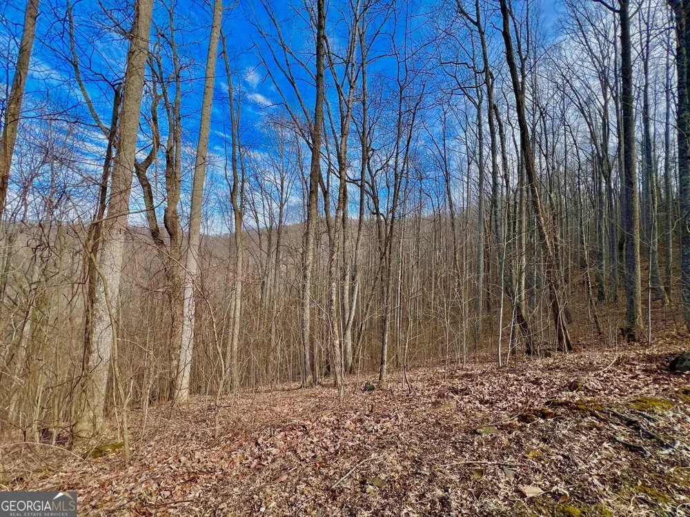 57 Rim Rock Young Harris, GA 30582