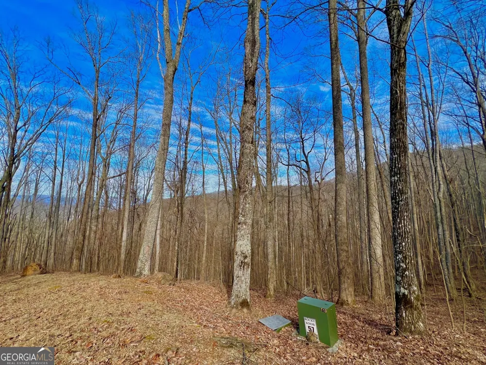 57 Rim Rock Young Harris, GA 30582