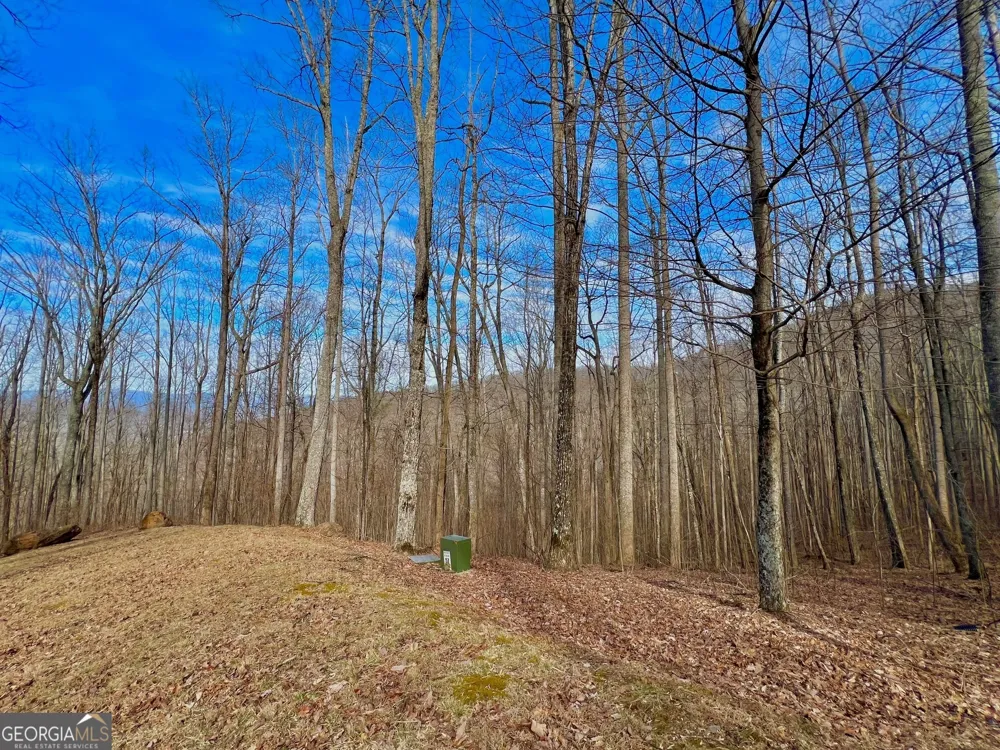 57 Rim Rock Young Harris, GA 30582