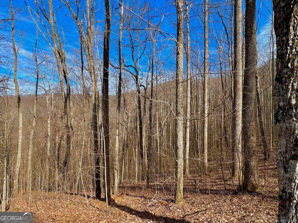 57 Rim Rock Young Harris, GA 30582