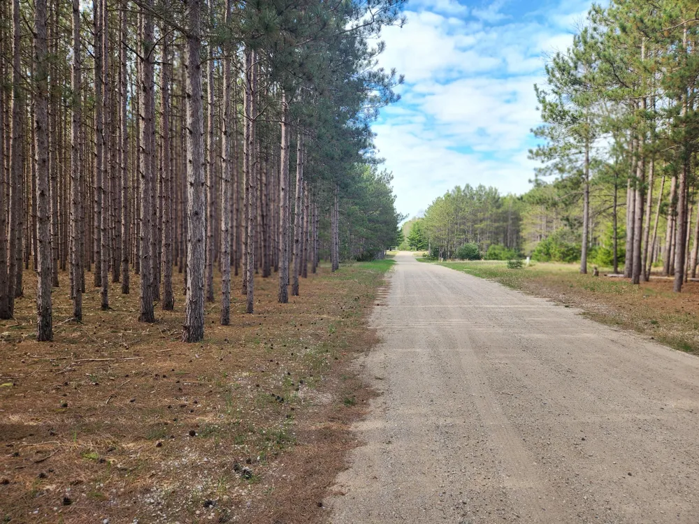2398 Bittersweet Drive Manistee, MI 49660