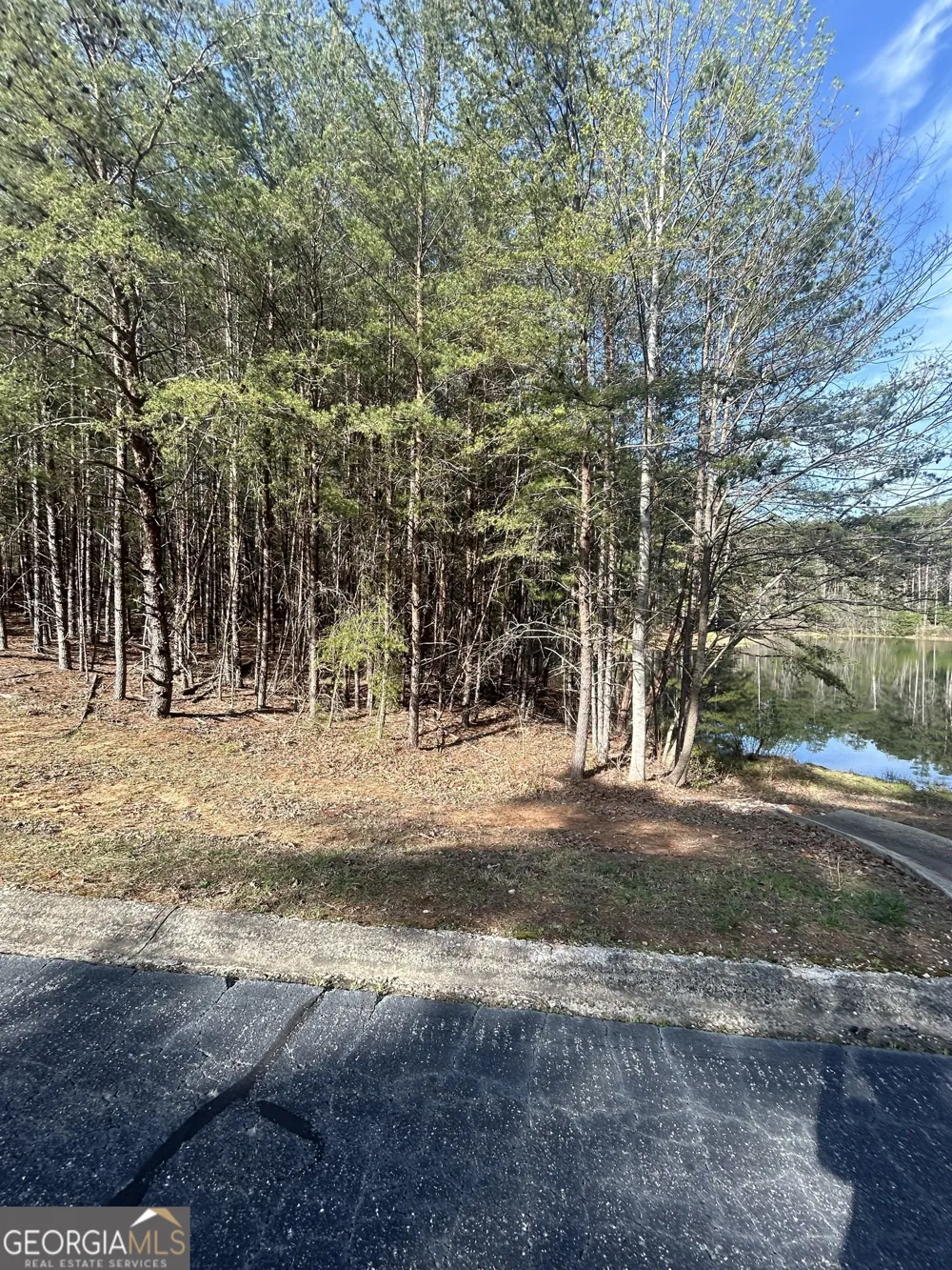 0 Orchard DR Clarkesville, GA 30523