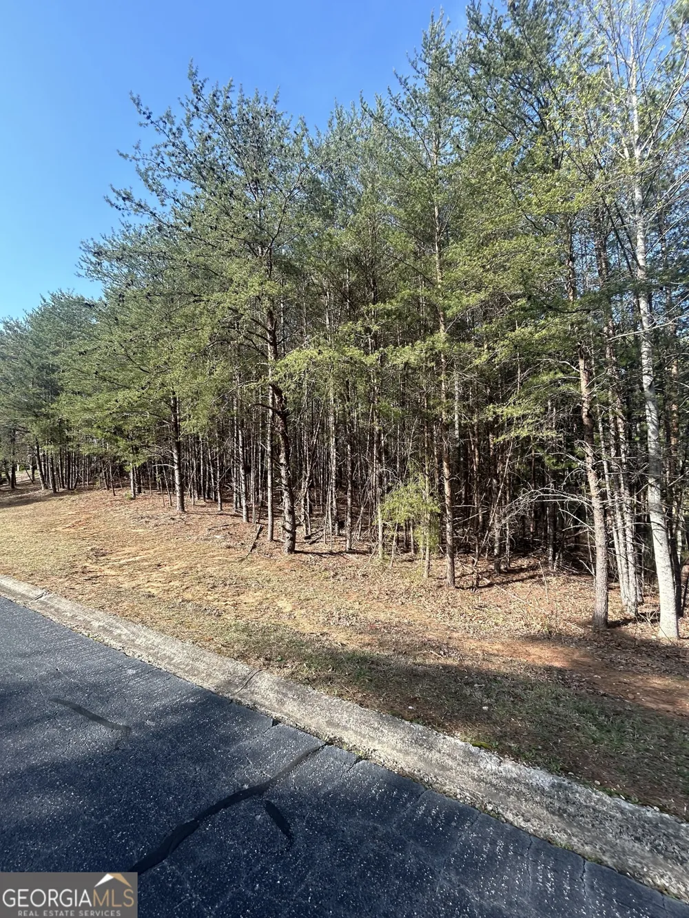 0 Orchard DR Clarkesville, GA 30523