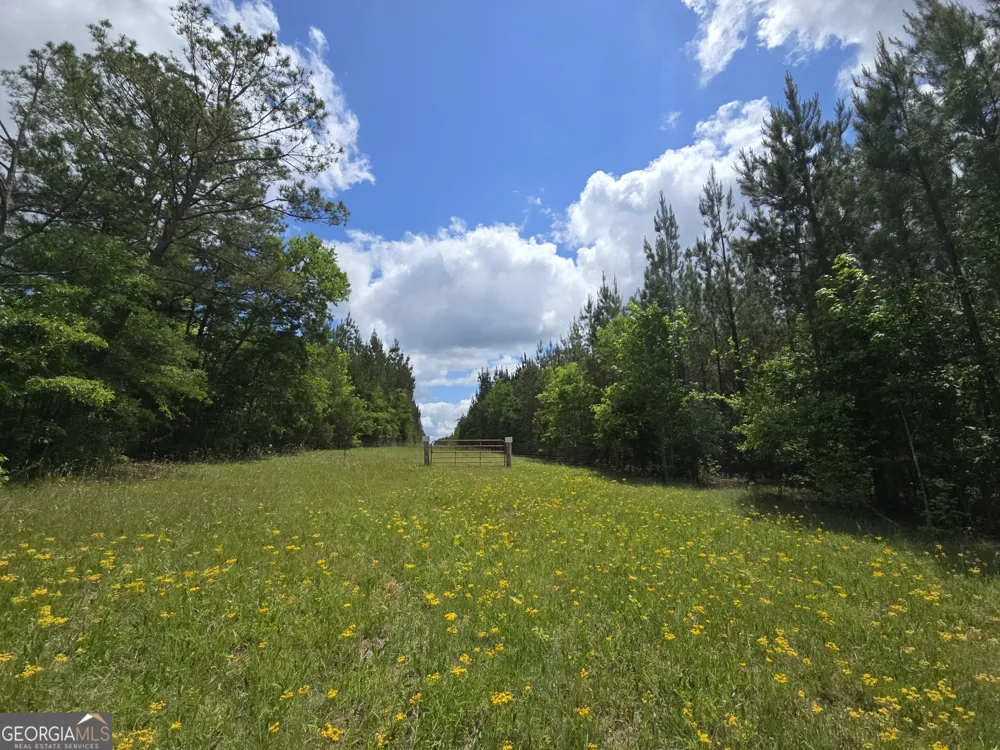 0 Davis Lake RD Thomaston, GA 30286