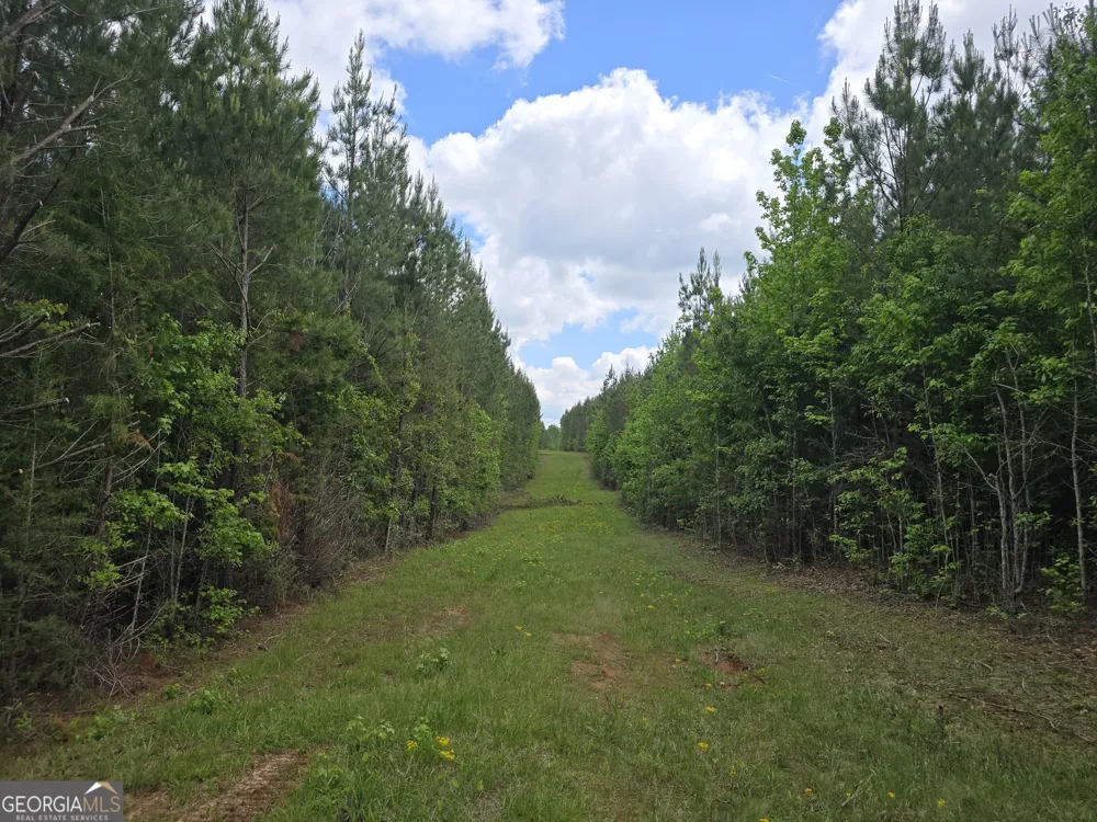 0 Davis Lake RD Thomaston, GA 30286