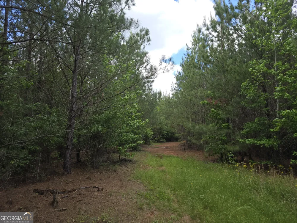 0 Davis Lake RD Thomaston, GA 30286