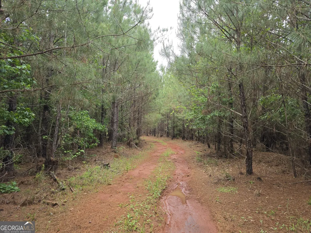 0 Davis Lake RD Thomaston, GA 30286