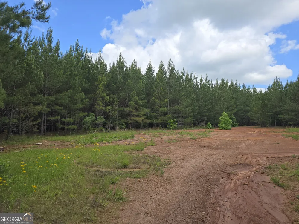 0 Davis Lake RD Thomaston, GA 30286