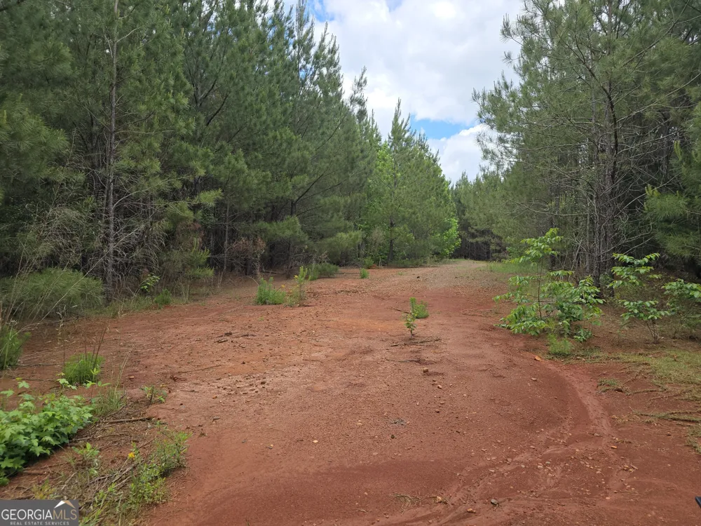 0 Davis Lake RD Thomaston, GA 30286