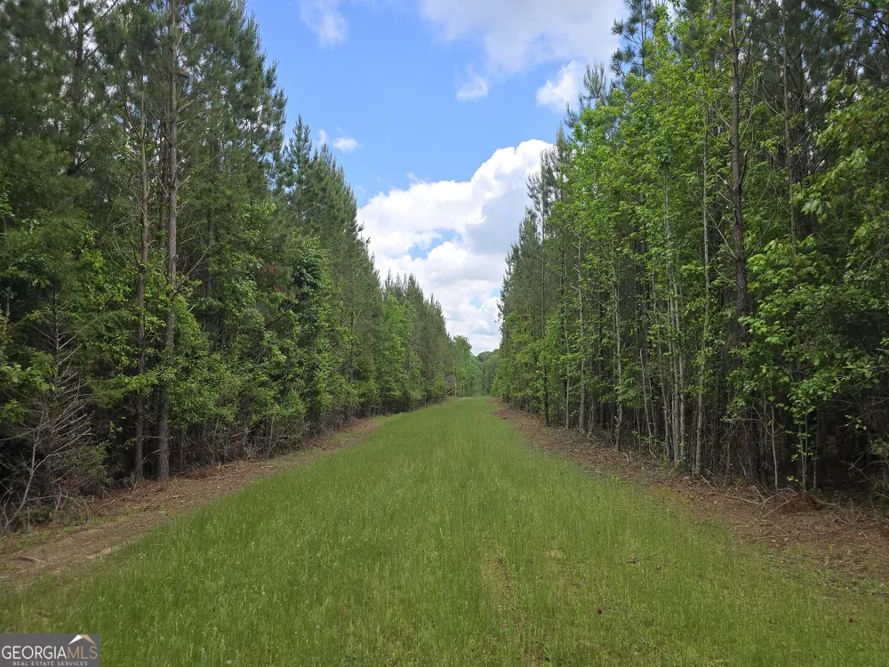 0 Davis Lake RD Thomaston, GA 30286