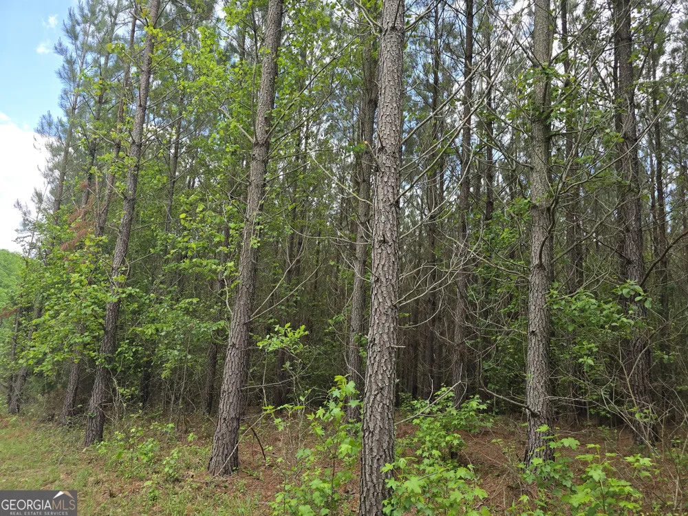 0 Davis Lake RD Thomaston, GA 30286