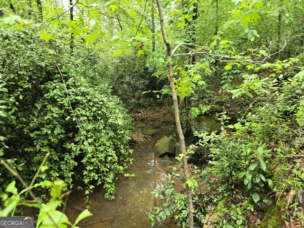 0 Davis Lake RD Thomaston, GA 30286