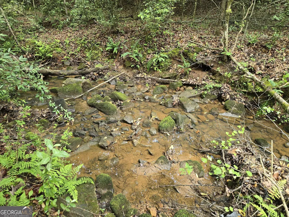 0 Davis Lake RD Thomaston, GA 30286