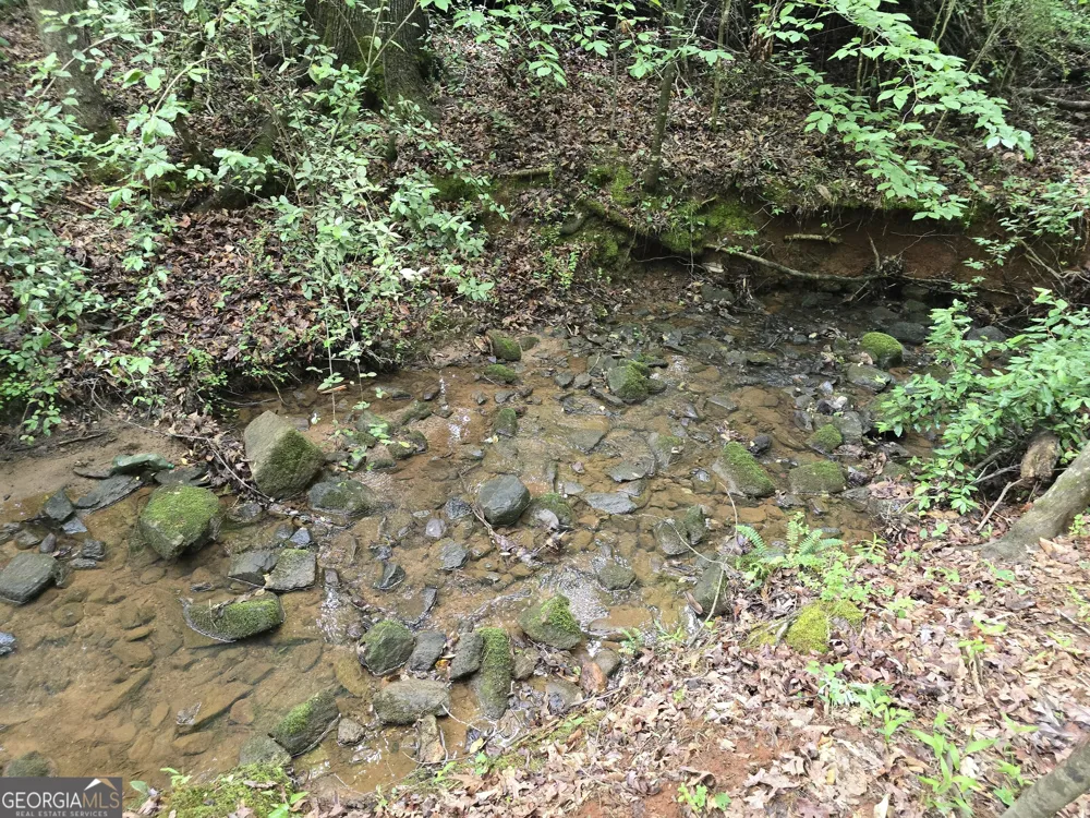 0 Davis Lake RD Thomaston, GA 30286
