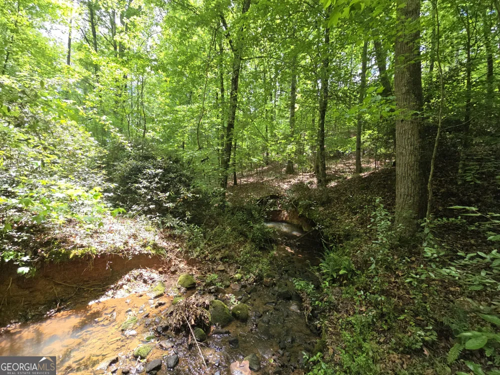 0 Davis Lake RD Thomaston, GA 30286