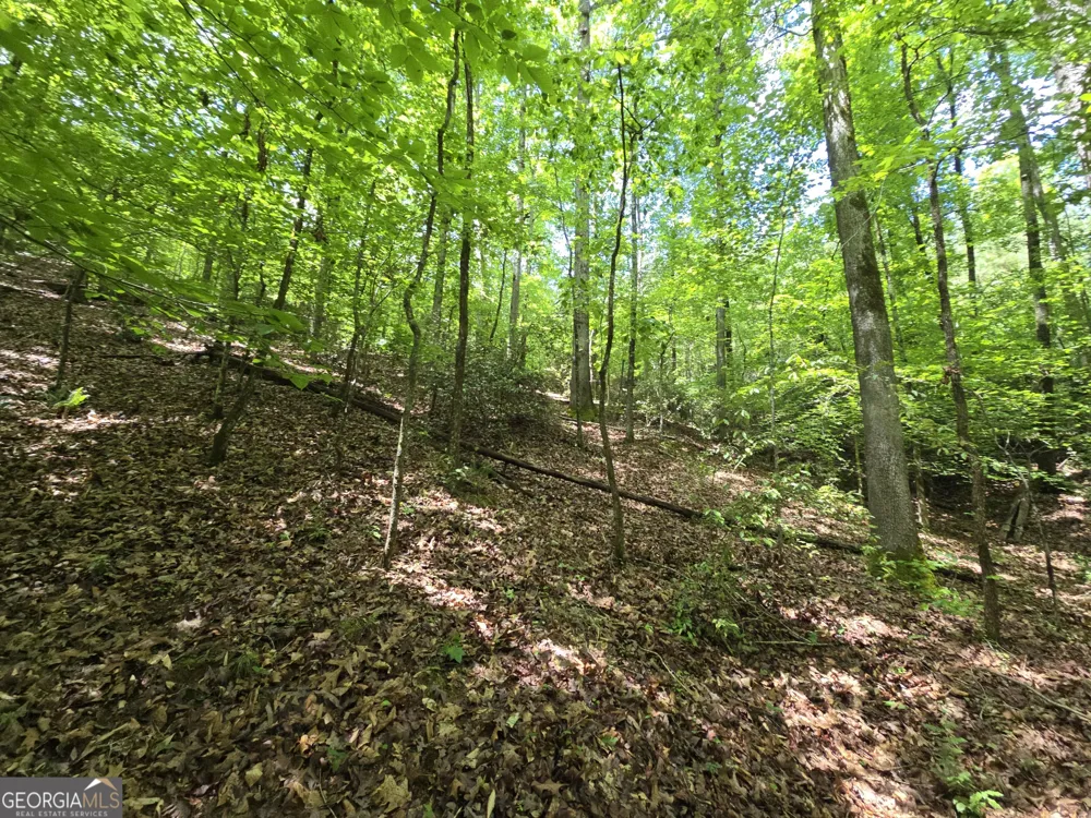 0 Davis Lake RD Thomaston, GA 30286