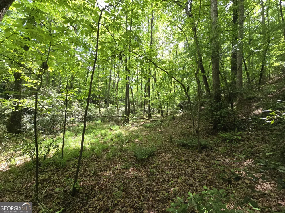 0 Davis Lake RD Thomaston, GA 30286