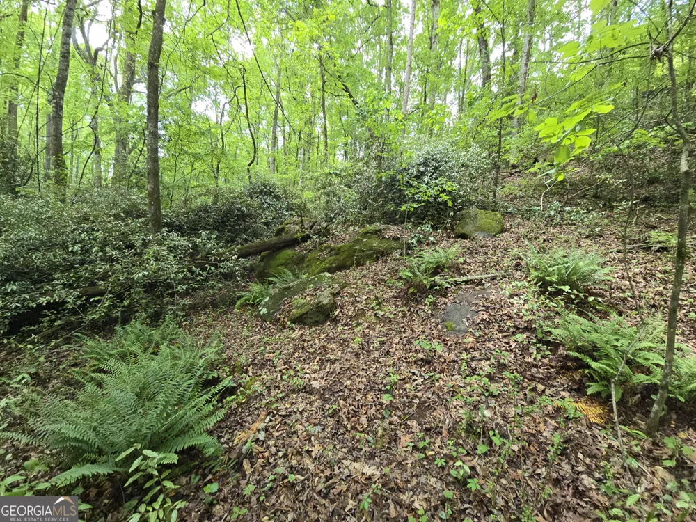 0 Davis Lake RD Thomaston, GA 30286