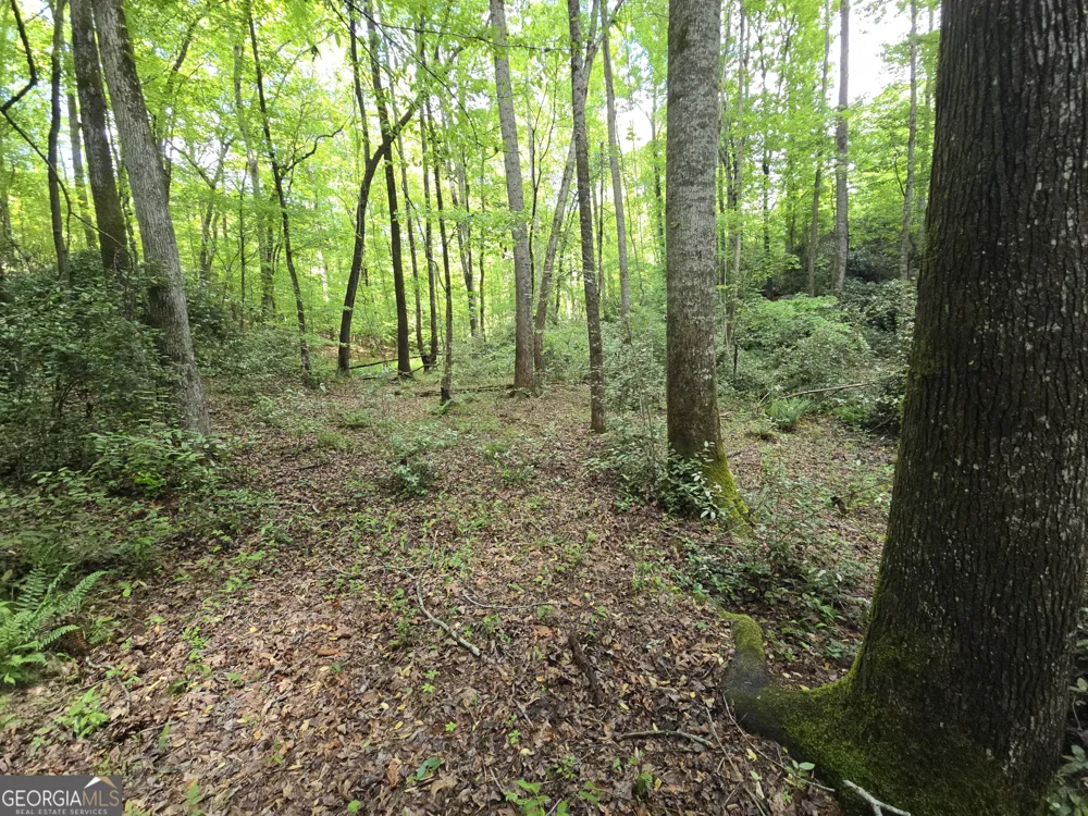 0 Davis Lake RD Thomaston, GA 30286