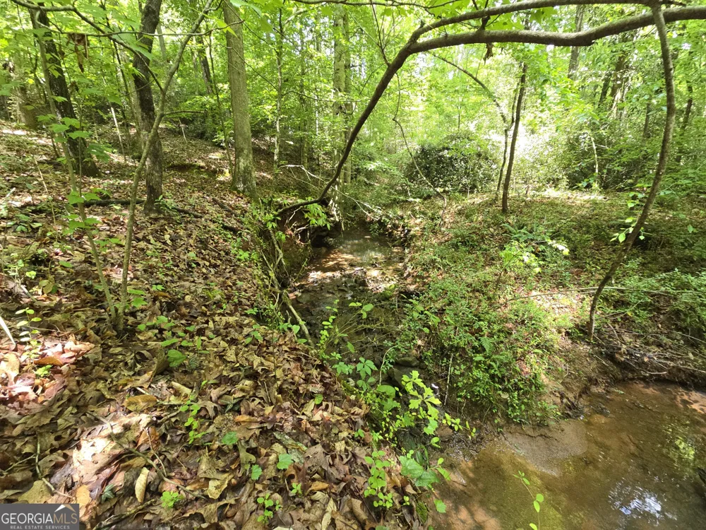 0 Davis Lake RD Thomaston, GA 30286