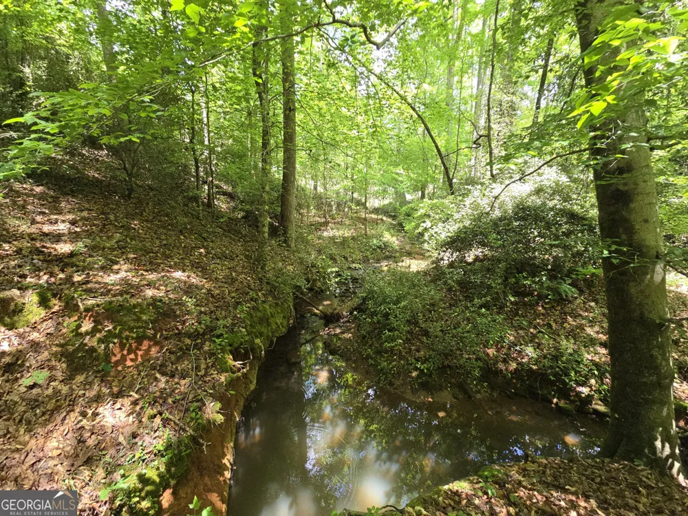 0 Davis Lake RD Thomaston, GA 30286