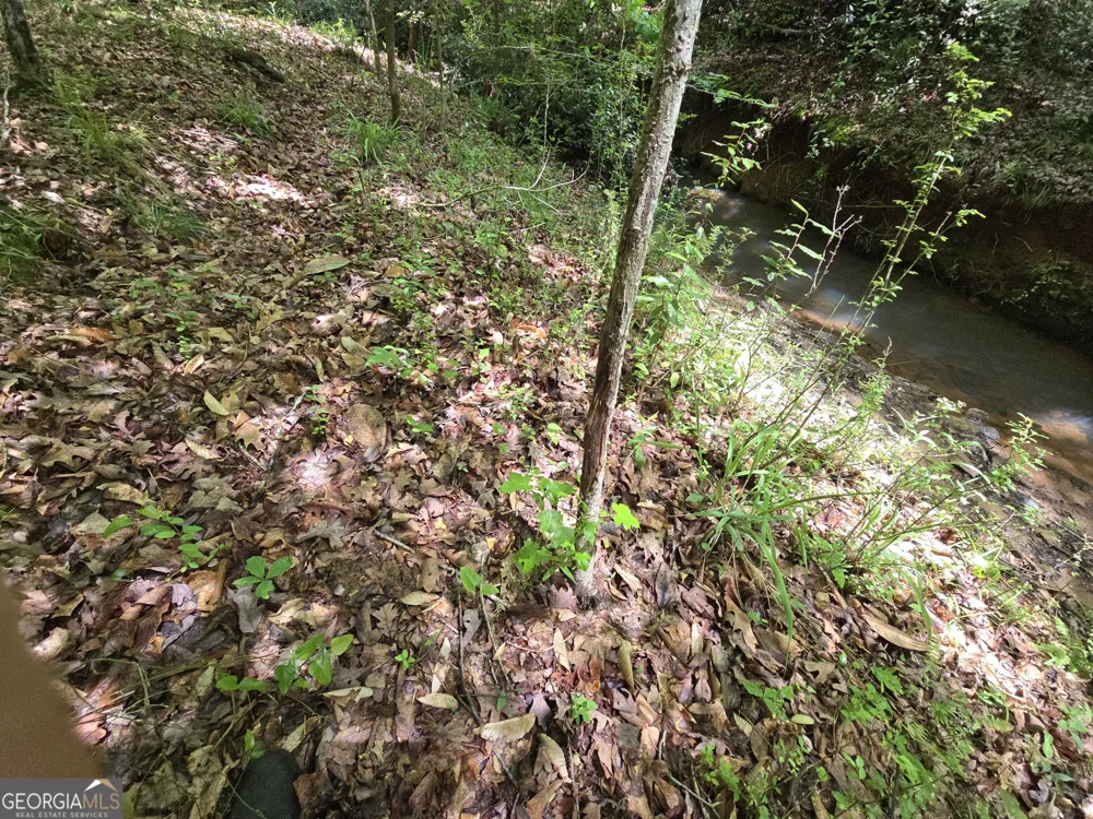 0 Davis Lake RD Thomaston, GA 30286