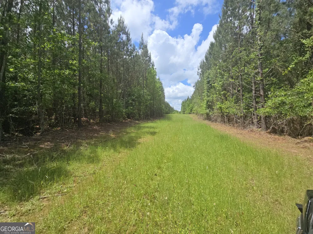 0 Davis Lake RD Thomaston, GA 30286