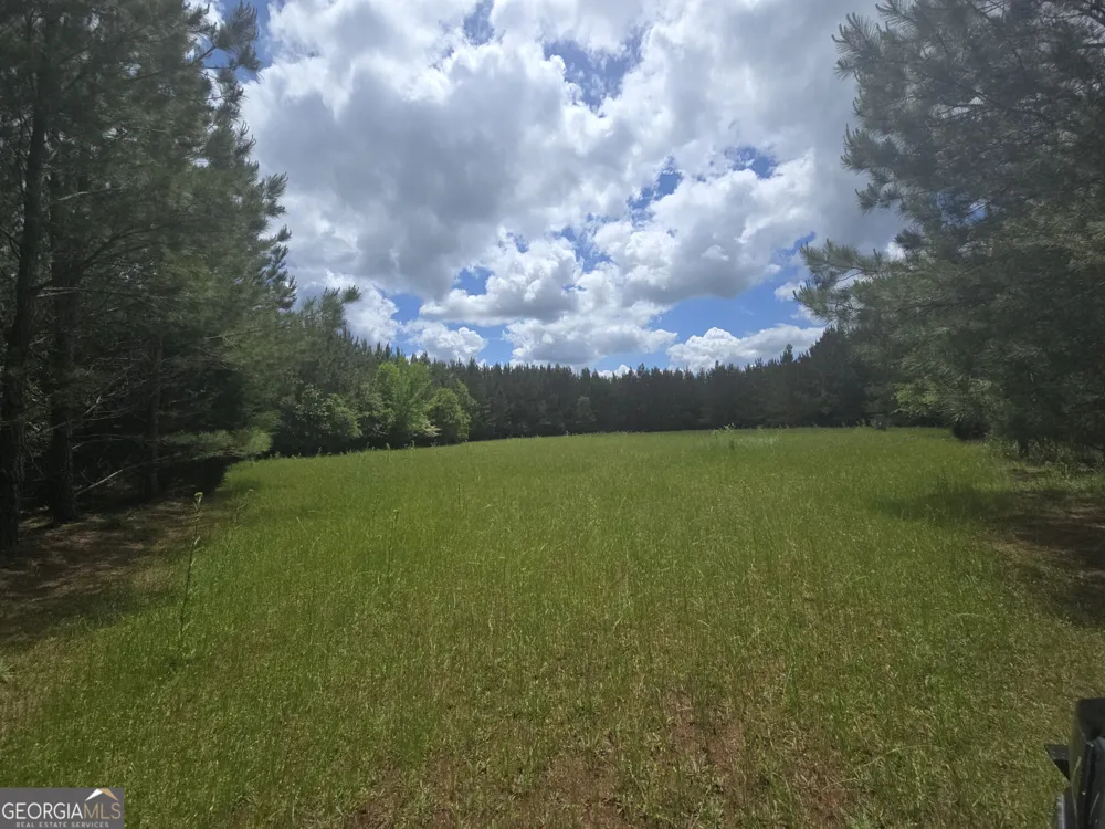 0 Davis Lake RD Thomaston, GA 30286