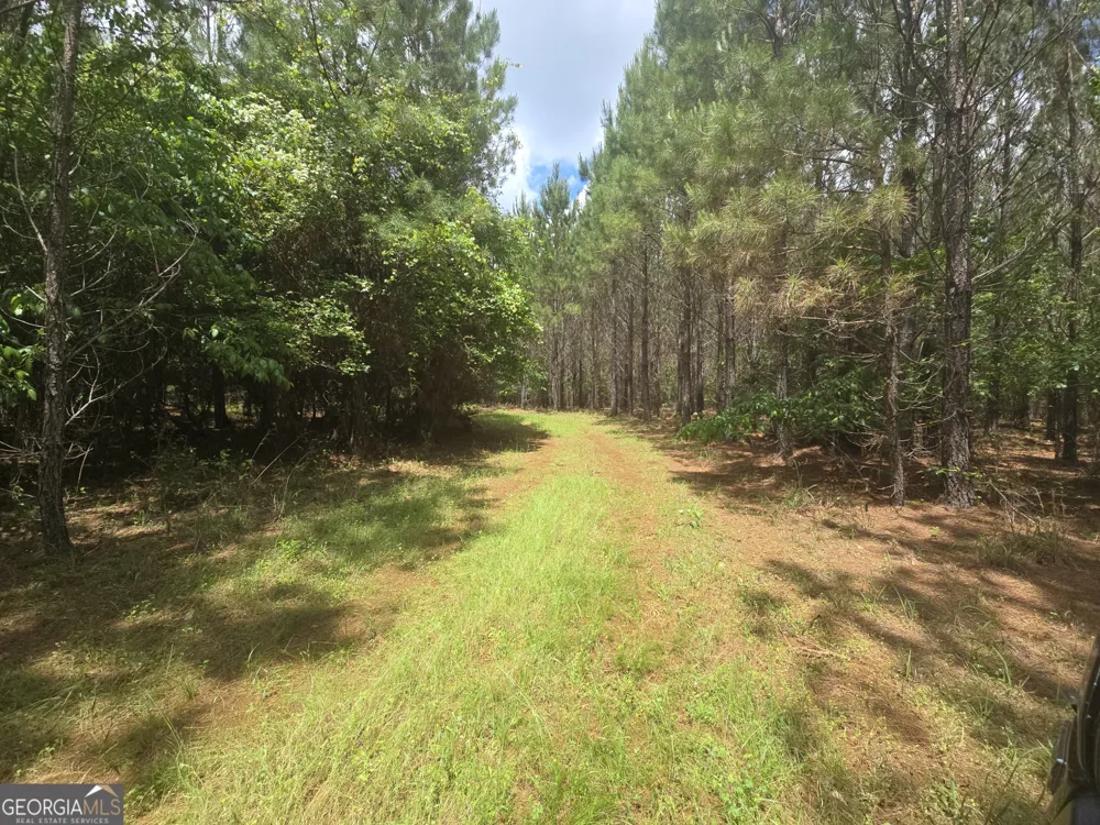 0 Davis Lake RD Thomaston, GA 30286