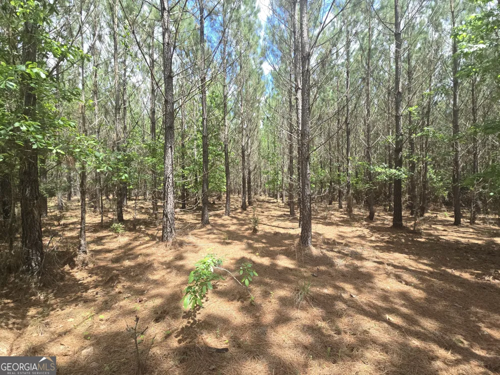 0 Davis Lake RD Thomaston, GA 30286
