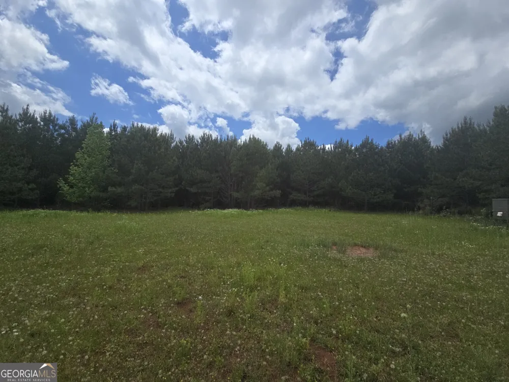 0 Davis Lake RD Thomaston, GA 30286