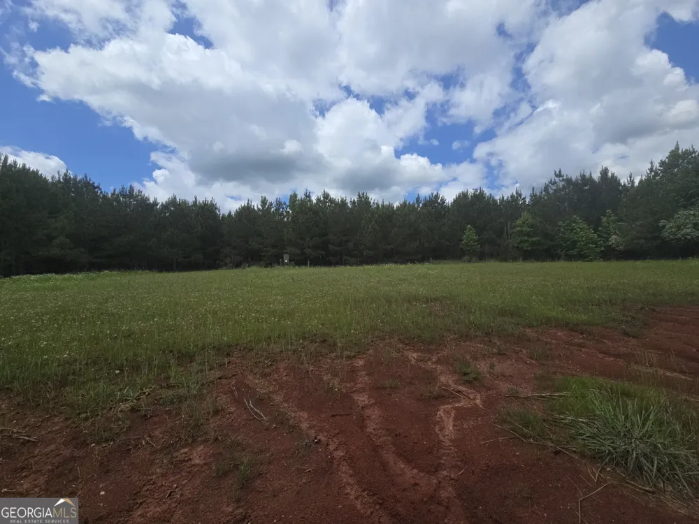 0 Davis Lake RD Thomaston, GA 30286