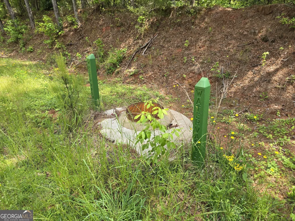 0 Davis Lake RD Thomaston, GA 30286