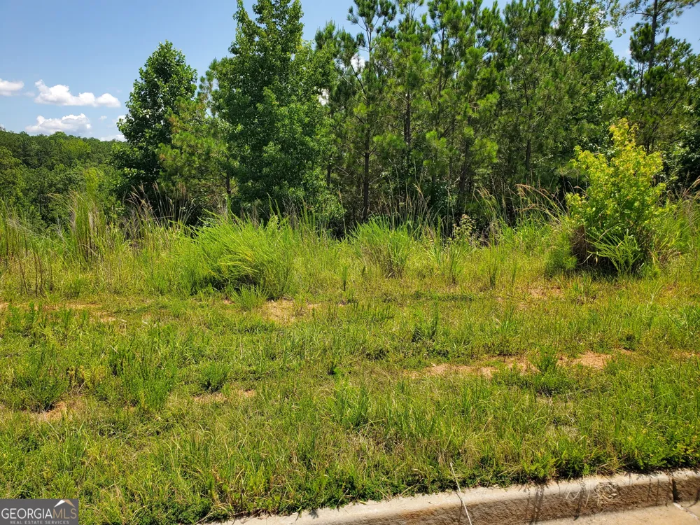 0 Green TER Newnan, GA 30265