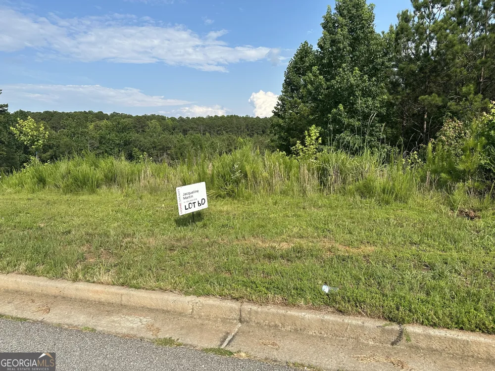 0 Green TER Newnan, GA 30265