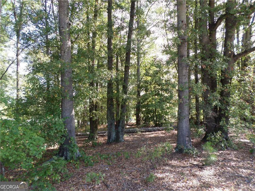 4595 Austell Powder Springs RD Powder Springs, GA 30127