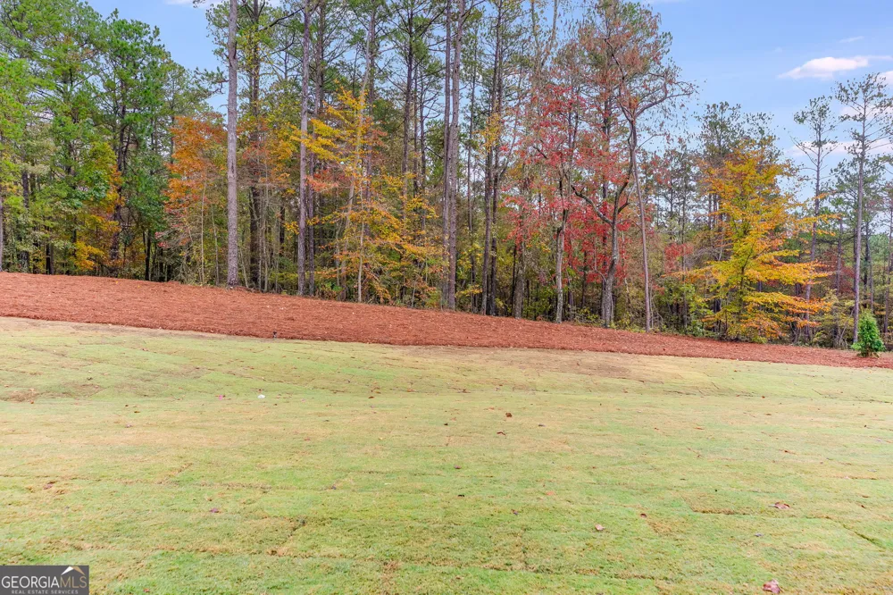 16 Liberty Station DR Bremen, GA 30110