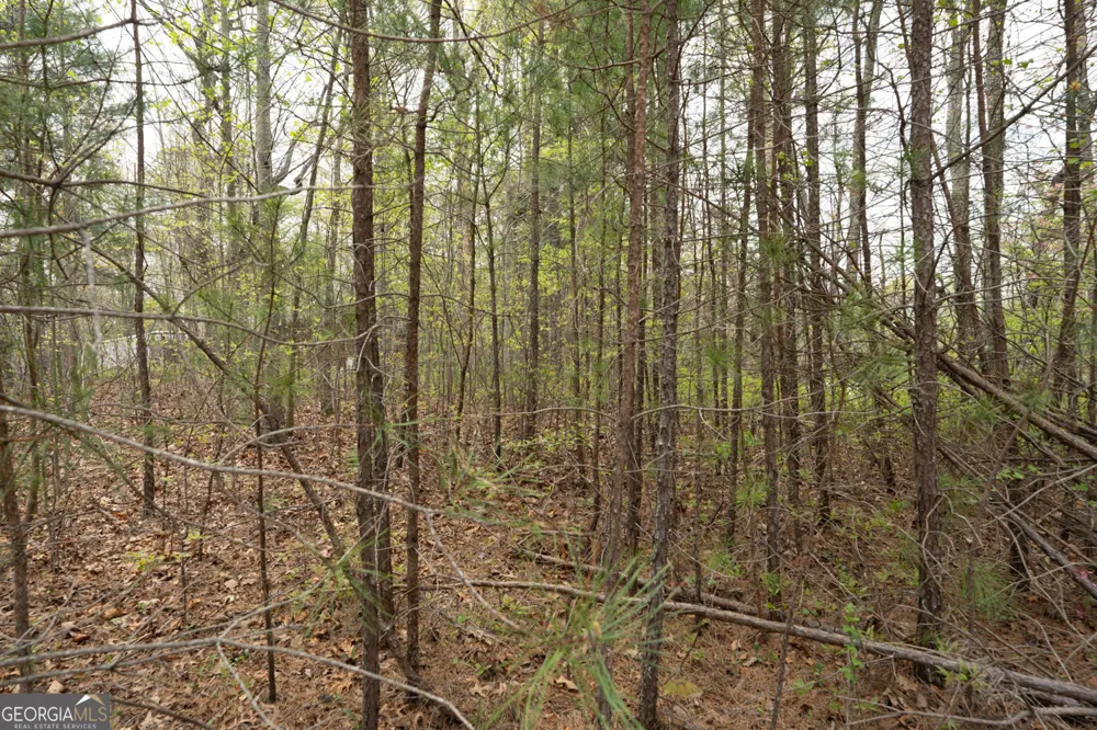 136 Key LN Lakemont, GA 30552