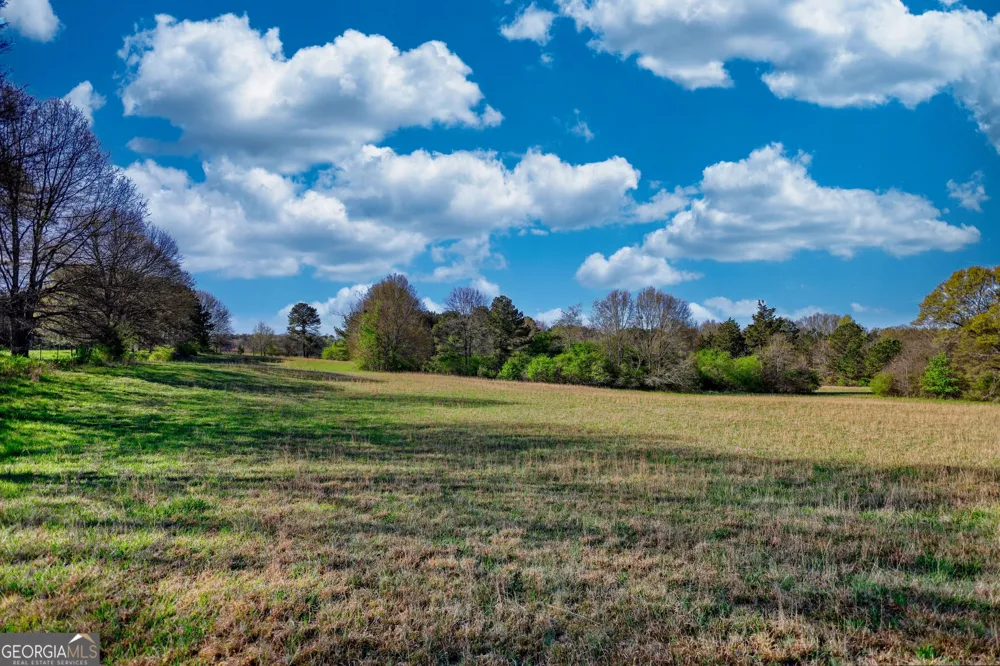 610 Loth Wages RD Dacula, GA 30019
