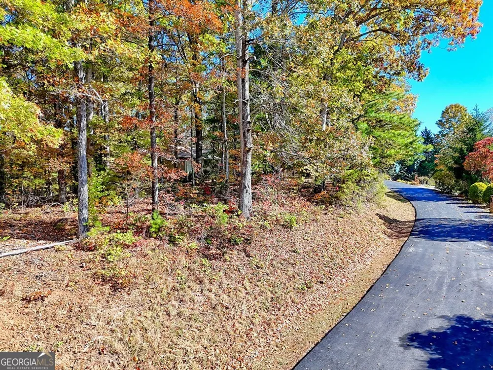 #20 Victoria Woods CIR Hiawassee, GA 30546